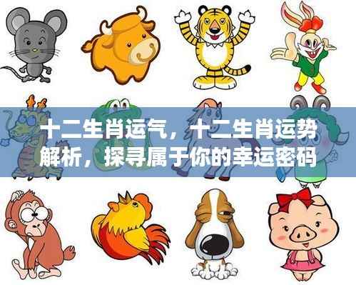 揭秘十二生肖运势密码,探寻属于你的幸运之道