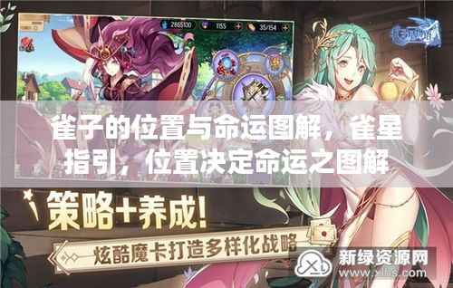 雀星指引，位置与命运之谜图解