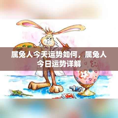 属兔人今日运势详解,幸运伴随,把握机会!