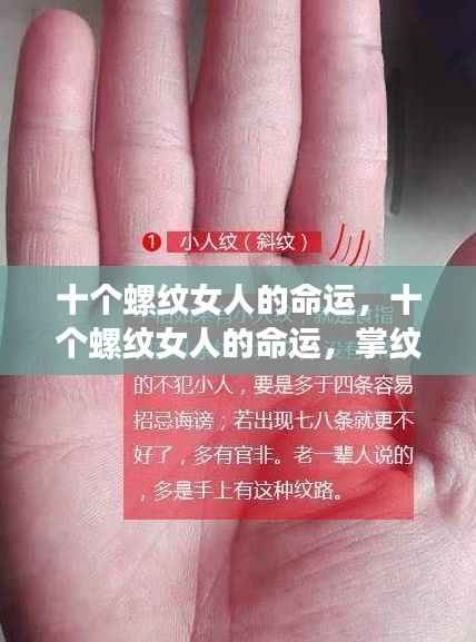 寥若晨星 第3页