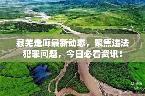 藏羌走廊最新动态,聚焦违法犯罪问题,今日必看资讯!