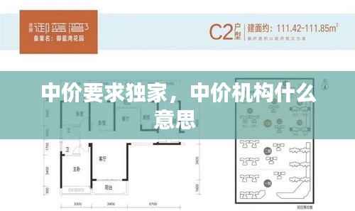 囊萤映雪 第3页