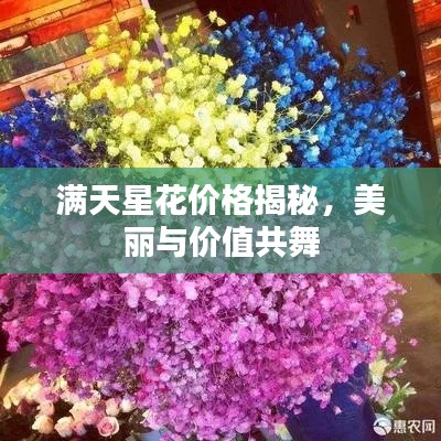 满天星花价格揭秘,美丽与价值共舞