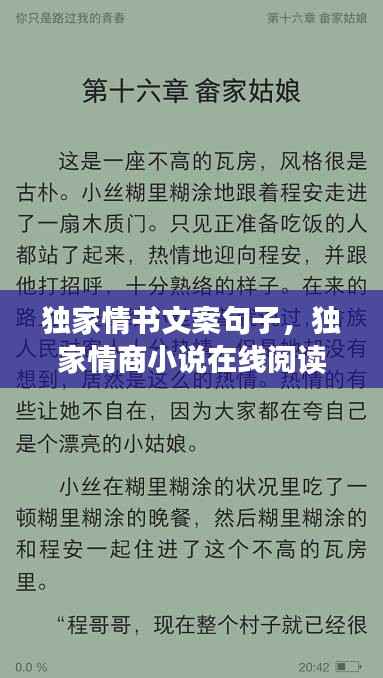 独家情书文案句子,独家情商小说在线阅读
