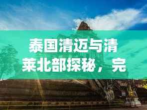 将机就机 第3页