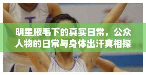 明星腋毛下的真实日常,公众人物的日常与身体出汗真相探索
