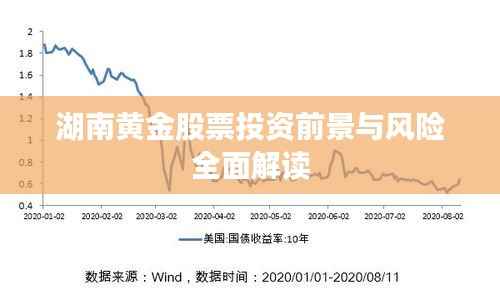 湖南黄金股票投资前景与风险全面解读