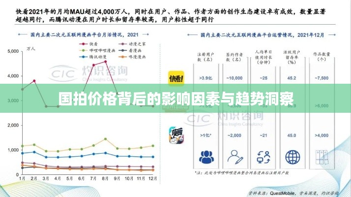 国拍价格背后的影响因素与趋势洞察
