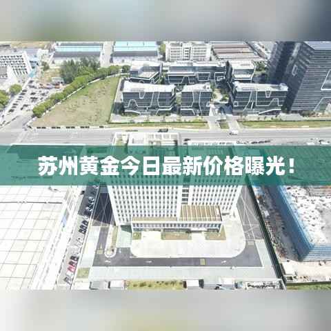 苏州黄金今日最新价格曝光!