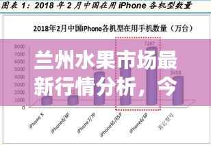 兰州水果市场最新行情分析,今日价格走势一网打尽