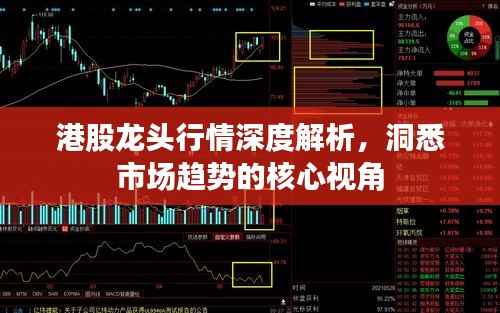 港股龙头行情深度解析,洞悉市场趋势的核心视角