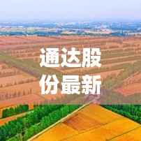 通达股份最新股价动态,市场走势及投资者关注热点