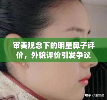 审美观念下的明星鼻子评价,外貌评价引发争议