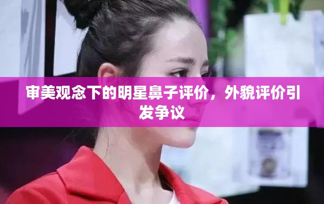 审美观念下的明星鼻子评价,外貌评价引发争议