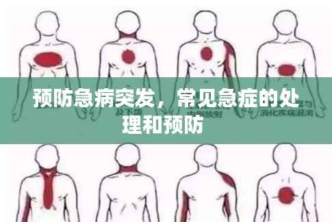 预防急病突发,常见急症的处理和预防