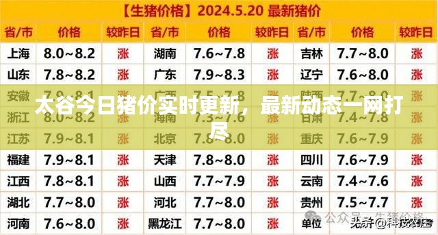 太谷今日猪价实时更新,最新动态一网打尽