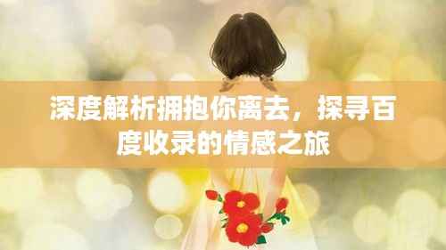 深度解析拥抱你离去,探寻百度收录的情感之旅