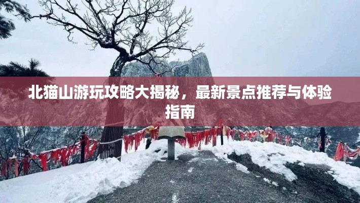 北猫山游玩攻略大揭秘,最新景点推荐与体验指南
