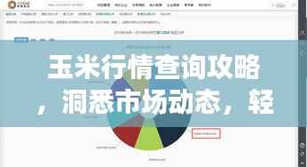 玉米行情查询攻略,洞悉市场动态,轻松把握商机!