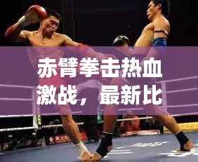 倦鸟思归 第2页