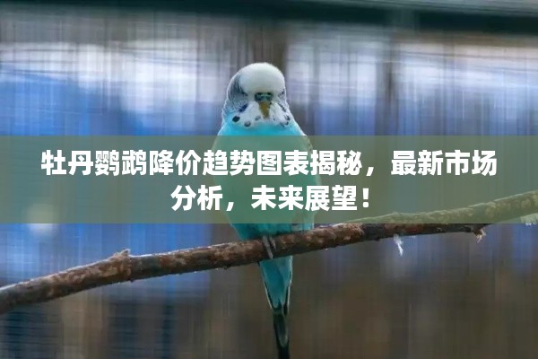 牡丹鹦鹉降价趋势图表揭秘,最新市场分析,未来展望!