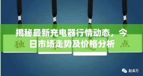 揭秘最新充电器行情动态,今日市场走势及价格分析