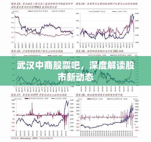 武汉中商股票吧,深度解读股市新动态