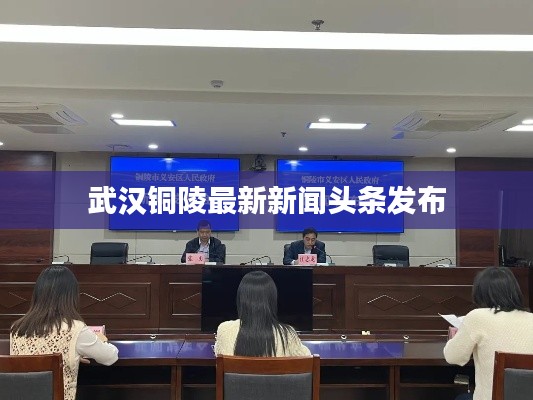武汉铜陵最新新闻头条发布