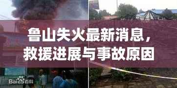 鲁山失火最新消息,救援进展与事故原因调查同步推进,视频曝光引关注