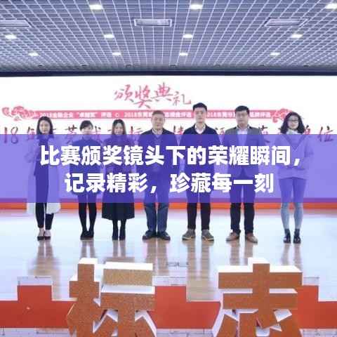 铺张扬厉 第2页