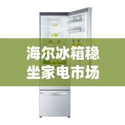 海尔冰箱稳坐家电市场宝座,揭秘其排名前十的辉煌成就