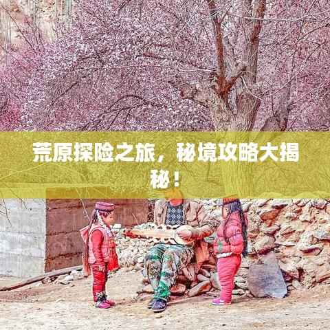 荒原探险之旅,秘境攻略大揭秘!