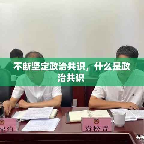 不断坚定政治共识,什么是政治共识