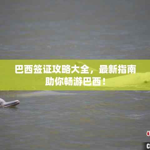 巴西签证攻略大全,最新指南助你畅游巴西!