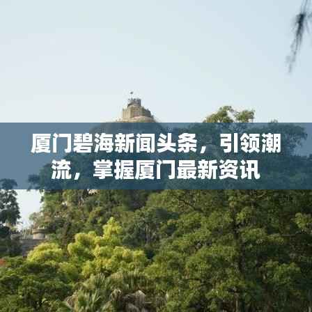 厦门碧海新闻头条,引领潮流,掌握厦门最新资讯