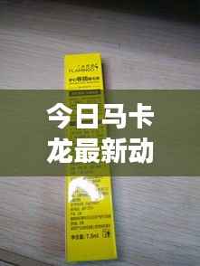 今日马卡龙最新动态报道