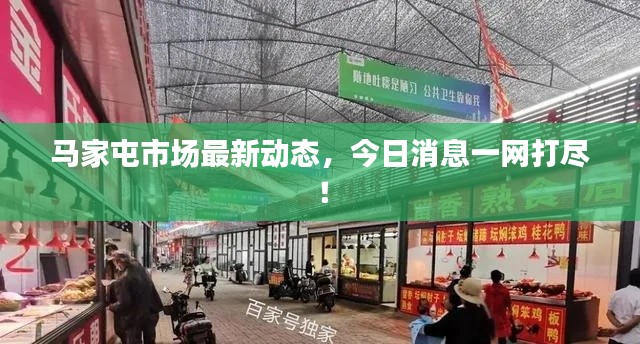马家屯市场最新动态,今日消息一网打尽!