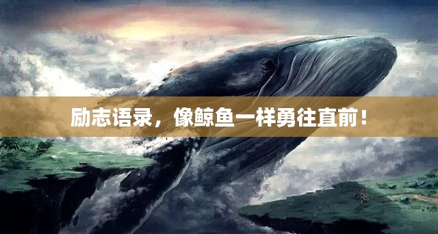 励志语录,像鲸鱼一样勇往直前!