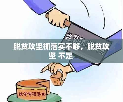 脱贫攻坚抓落实不够,脱贫攻坚 不足