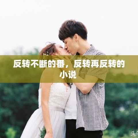 反转不断的番,反转再反转的小说