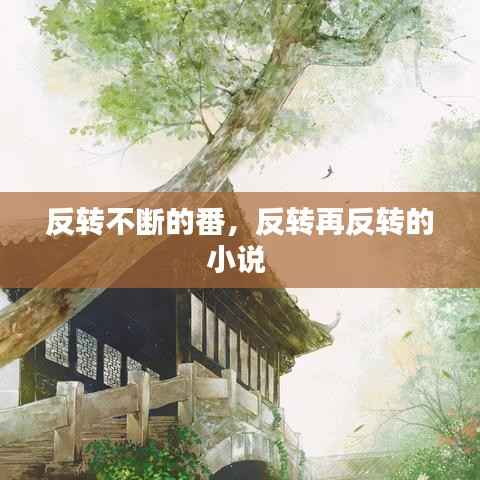 反转不断的番,反转再反转的小说