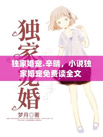 独家婚宠.辛晴,小说独家婚宠免费读全文