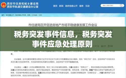 税务突发事件信息,税务突发事件应急处理原则