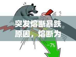 突发熔断暴跌原因，熔断为什么导致股灾 