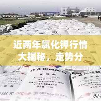 近两年氯化钾行情大揭秘,走势分析与市场洞察