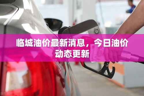临城油价最新消息，今日油价动态更新
